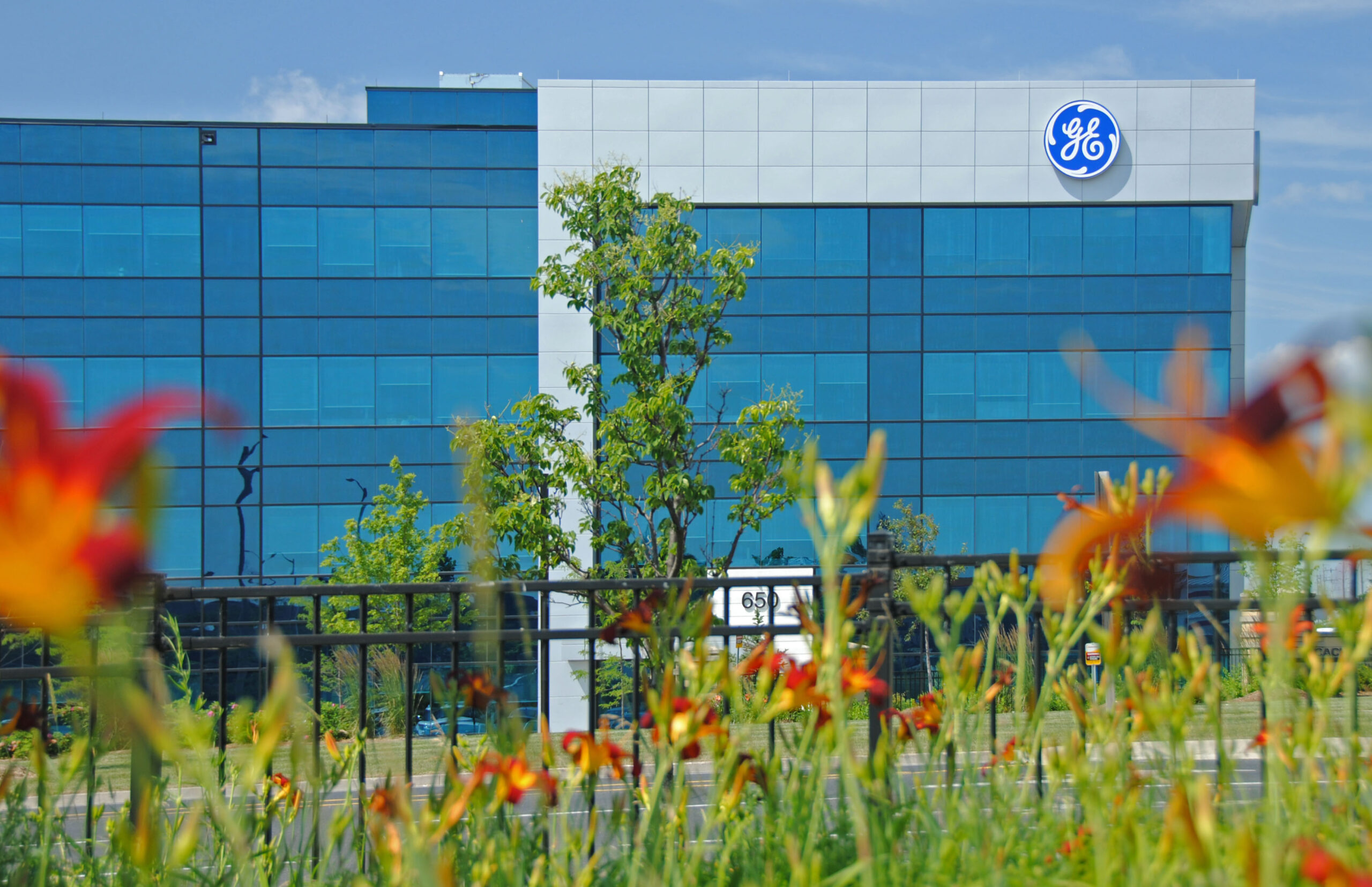GE office building viewed through flowering plants in the foreground on a bright summer day.